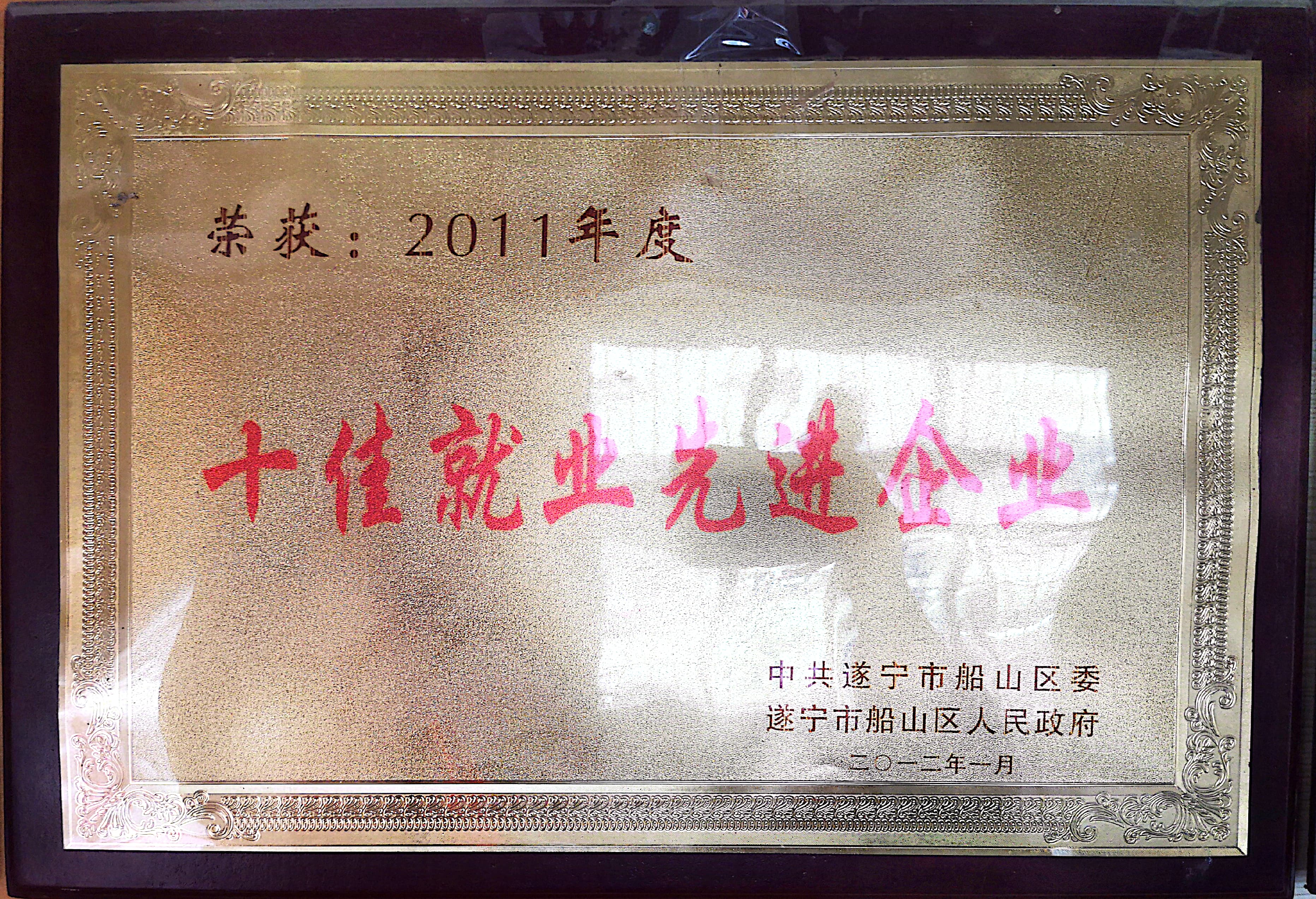 遂宁市十佳就业先进企业