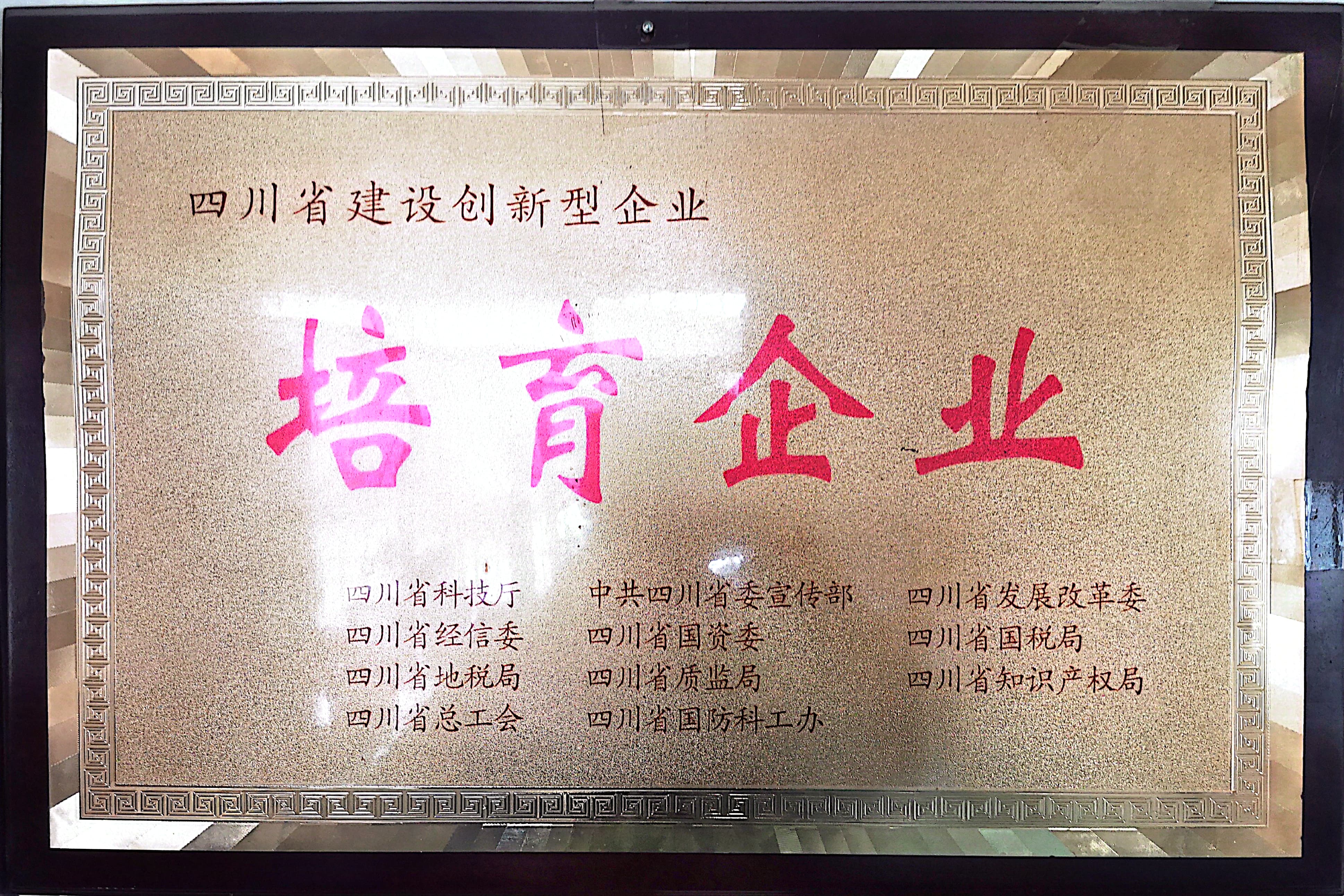 四川省建设创新型企业